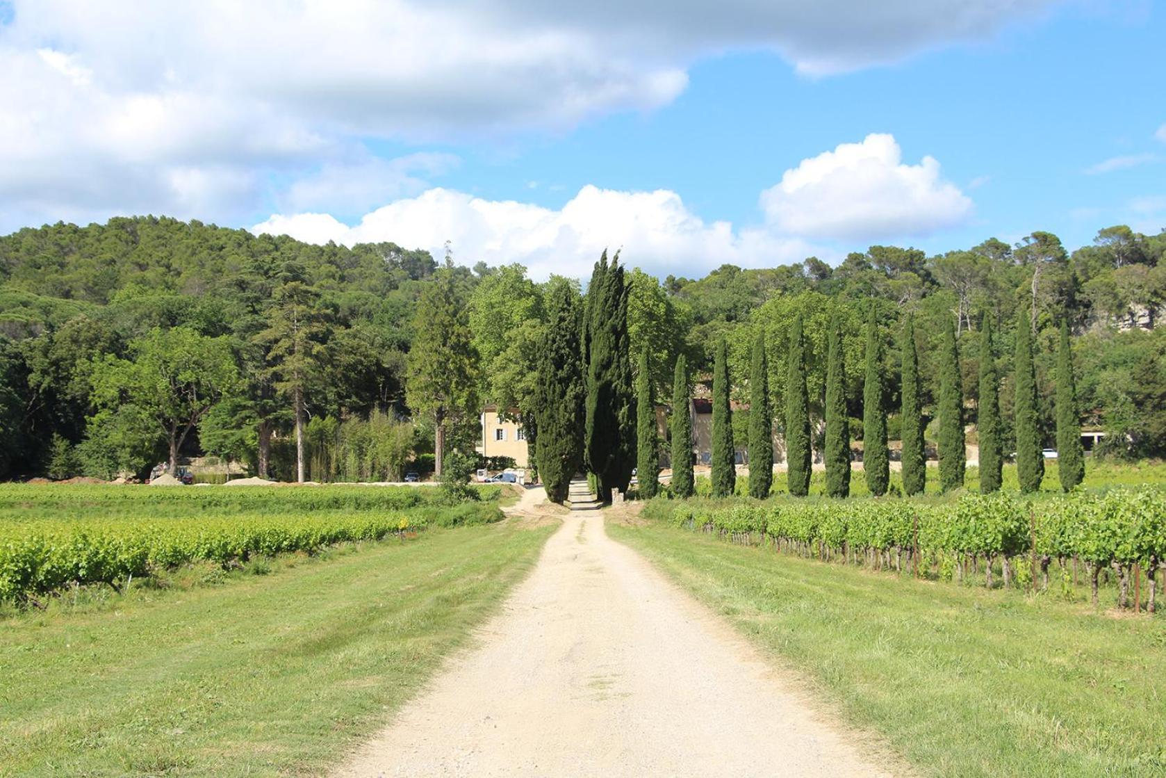 Chateau De L'Olivete Cornillon ภายนอก รูปภาพ